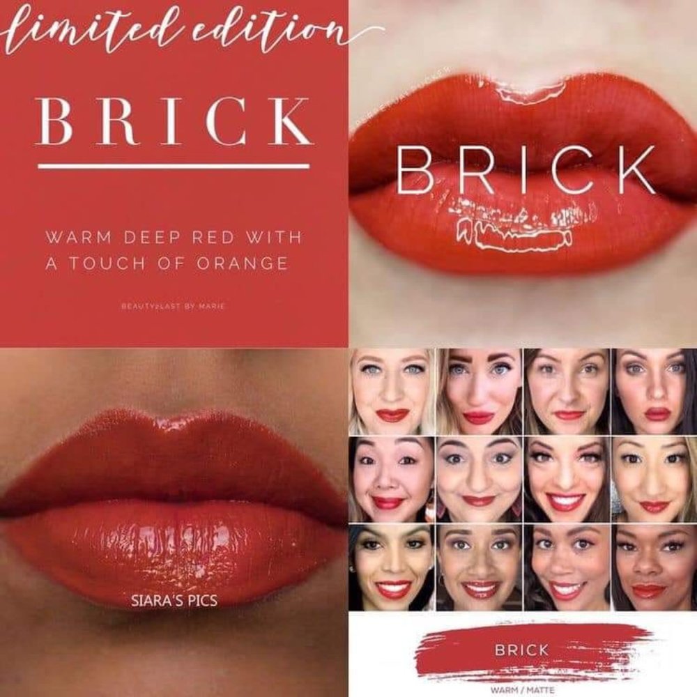 Brick LipSense Limited Edition NWT